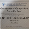 Ampliar imagem: certificate 9