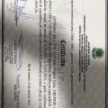 Ampliar imagem: certificate 6