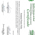 Ampliar imagem: certificate 5