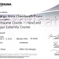 Ampliar imagem: certificate 7