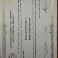 Ampliar imagem: certificate 1