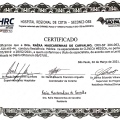 Ampliar imagem: certificate 1
