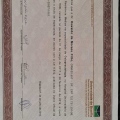 Ampliar imagem: certificate 7