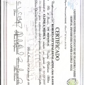 Ampliar imagem: certificate 3