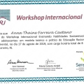 Ampliar imagem: certificate 13