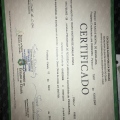 Ampliar imagem: certificate 1