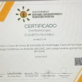 Ampliar imagem: certificate 4