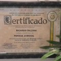 Ampliar imagem: certificate 3