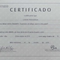 Ampliar imagem: certificate 20