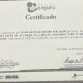 Ampliar imagem: certificate 2