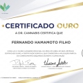 Ampliar imagem: certificate 7
