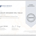 Ampliar imagem: certificate 9