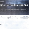 Ampliar imagem: certificate 8