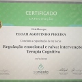 Ampliar imagem: certificate 3