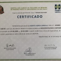Ampliar imagem: certificate 2