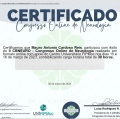 Ampliar imagem: certificate 5