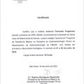 Ampliar imagem: certificate 11