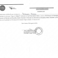 Ampliar imagem: certificate 12