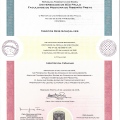 Ampliar imagem: certificate 6