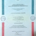 Ampliar imagem: certificate 2