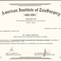 Ampliar imagem: certificate 5