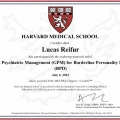 Ampliar imagem: certificate 7