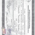 Ampliar imagem: certificate 5