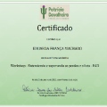 Ampliar imagem: certificate 1