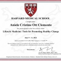 Ampliar imagem: certificate 2