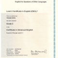 Ampliar imagem: certificate 11