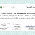 Ampliar imagem: certificate 11