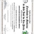 Ampliar imagem: certificate 3