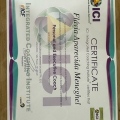 Ampliar imagem: certificate 2