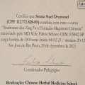 Ampliar imagem: certificate 12
