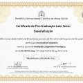 Ampliar imagem: certificate 2