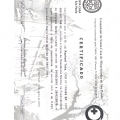 Ampliar imagem: certificate 4