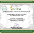 Ampliar imagem: certificate 19