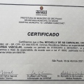 Ampliar imagem: certificate 1