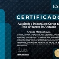 Ampliar imagem: certificate 2