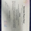 Ampliar imagem: certificate 10