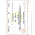 Ampliar imagem: certificate 5