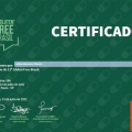 Ampliar imagem: certificate 3