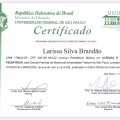 Ampliar imagem: certificate 4