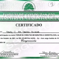 Ampliar imagem: certificate 17