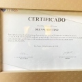 Ampliar imagem: certificate 6