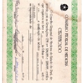 Ampliar imagem: certificate 5
