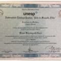 Ampliar imagem: certificate 4