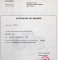 Ampliar imagem: certificate 1
