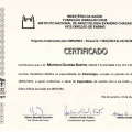 Ampliar imagem: certificate 2