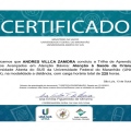 Ampliar imagem: certificate 3